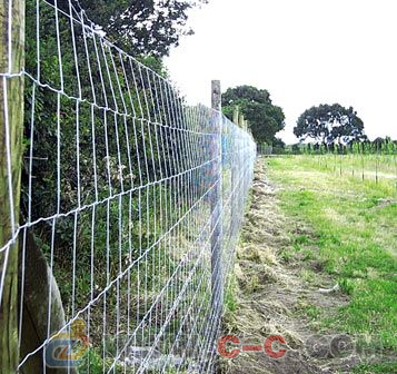 养殖场/养鸡场护栏网 选择、价格与专业厂家指南